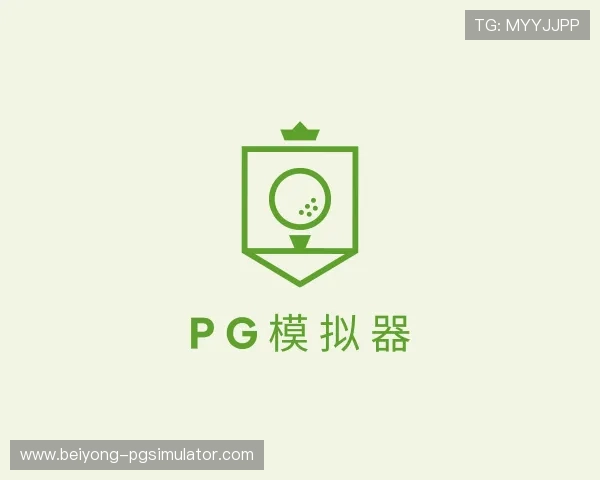 认识pg模拟器
